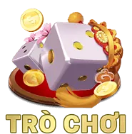 Hỗ Trợ Khách Hàng VIP